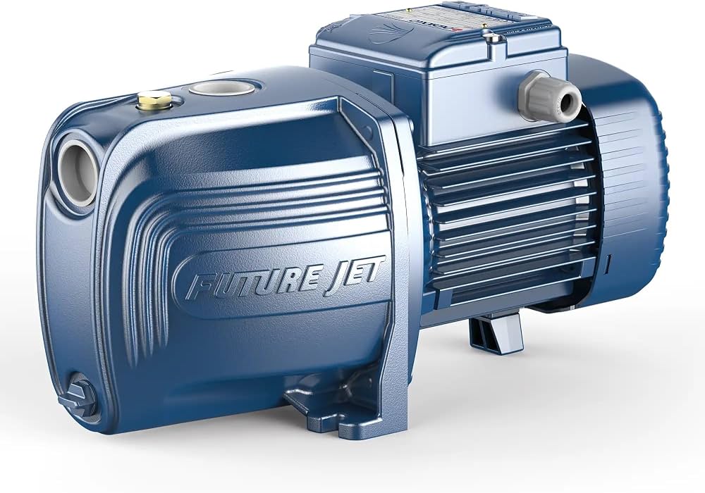 Elettropompa FUTURE JETm 2CX 230V 50Hz IE2 Pedrollo