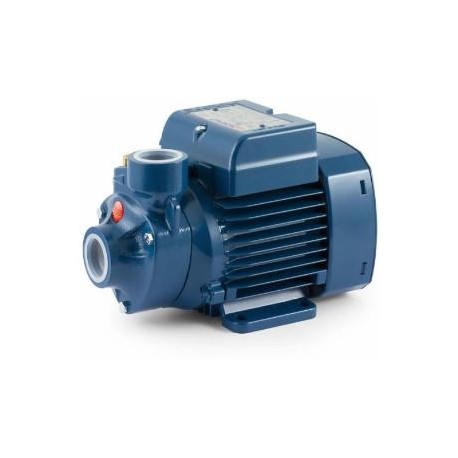 PKm60 Pedrollo Electric Pump