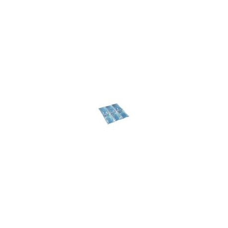 Flexy Freez Pack Small Ice Campingaz