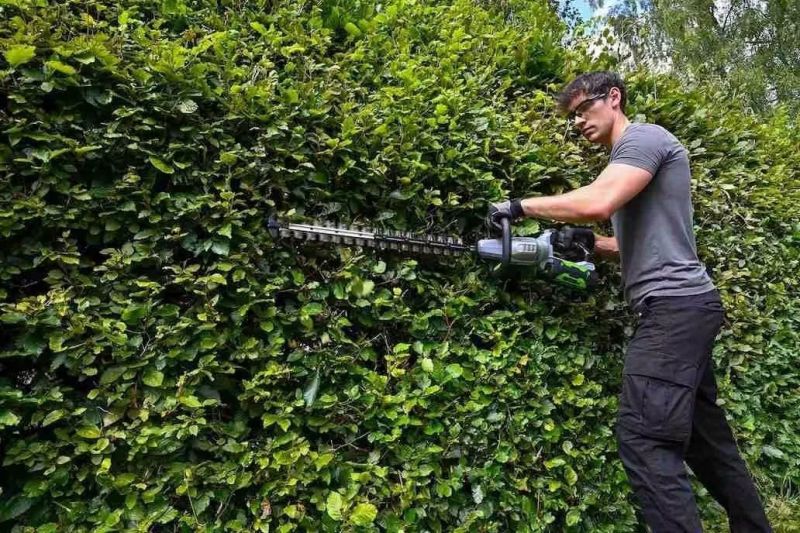 Potatura autunnale: 7 attrezzi indispensabili per il tuo giardino
